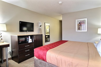 Standard Room, 1 King Bed, Non Smoking