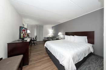 Deluxe Room, 1 King Bed with Sofa bed (Smoke Free)