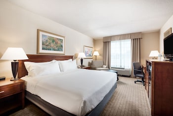 Standard Room, 1 King Bed with Sofa bed