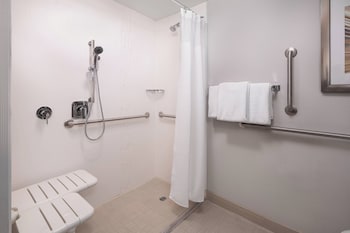 Room, 1 King Bed with Sofa bed (Mobility/Hearing Access, Roll-In Shwr)