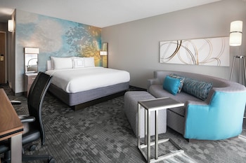 Room, 1 King Bed with Sofa bed (Mobility/Hearing Access, Roll-In Shwr)