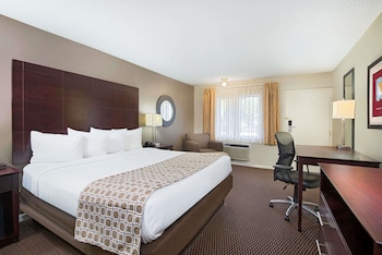 Room, 1 King Bed, Non Smoking