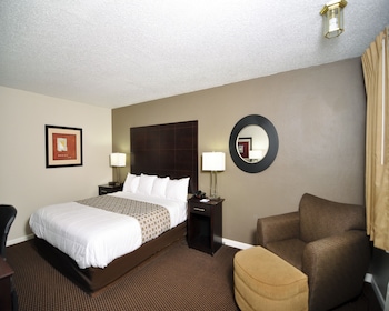 Room, 1 King Bed, Non Smoking