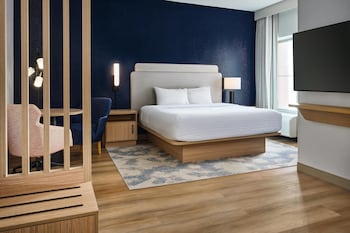 Room, 1 King Bed