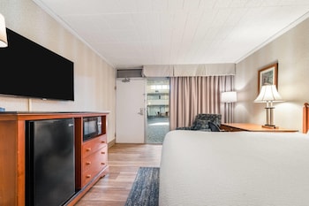Room, 1 King Bed, Non Smoking (Interior Entrance)
