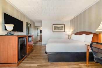 Room, 1 King Bed, Non Smoking (Exterior Entrance)