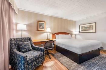 Room, 1 King Bed, Non Smoking (Interior Entrance)