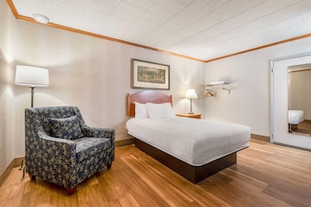 Traditional Room, 1 Double Bed, Accessible, Ground Floor