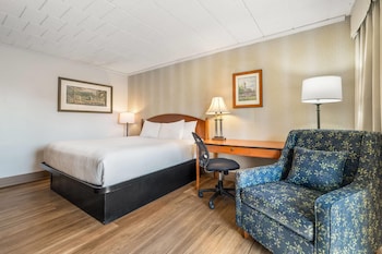 Room, 1 King Bed, Non Smoking (Exterior Entrance)