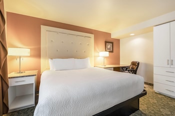 Suite, 1 King Bed, Non Smoking (Exterior Entrance)