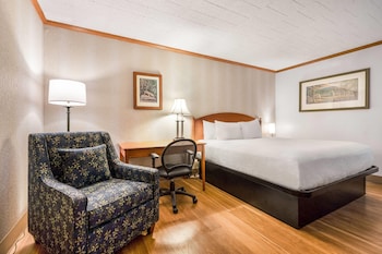 Room, 1 King Bed, Non Smoking, No Windows