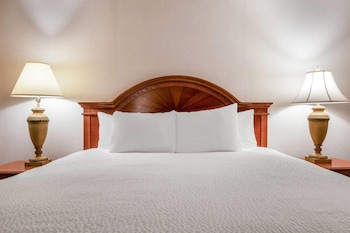 Suite, 1 King Bed, Non Smoking, No Windows