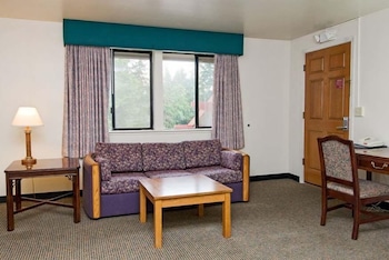 Presidential Room, 1 King Bed, Non Smoking, Jetted Tub