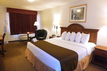 Room, 1 King Bed, Non Smoking
