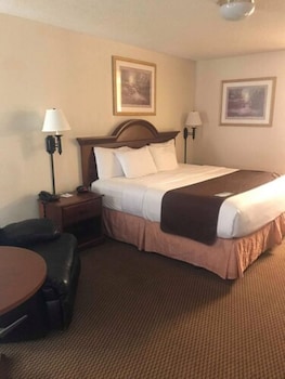 Room, 1 King Bed, Non Smoking