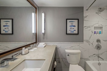 Room, 1 King Bed, City View (Mobility Accessible, Tub)