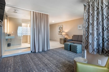 Suite, 1 King Bed with Sofa bed, Non Smoking