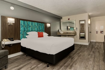 Room, 1 Queen Bed, Accessible