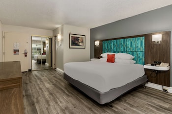 Room, 1 King Bed