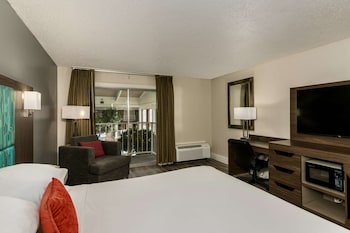 Room, 1 King Bed