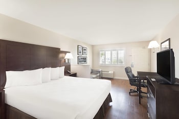 Room, 1 King Bed, Non Smoking, Pool View