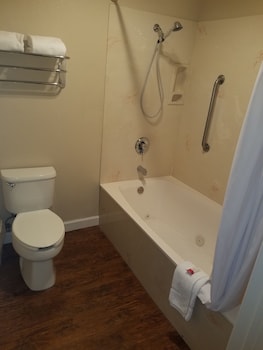 Studio Suite, 1 King Bed, Non Smoking, Pool View