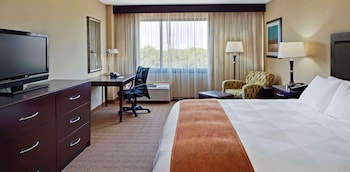 Room, 1 King Bed, Accessible, Non Smoking