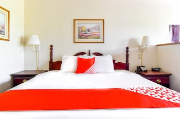 Room, 1 King Bed