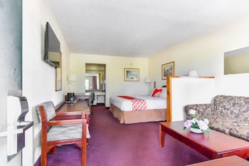 Room, 1 King Bed