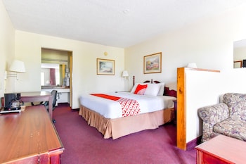 Room, 1 King Bed