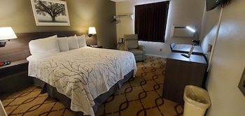 Basic Single Room, 1 Queen Bed