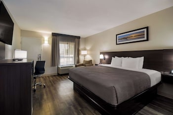 Room, 1 King Bed, Smoking