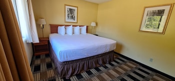 Single Room, 1 Bedroom