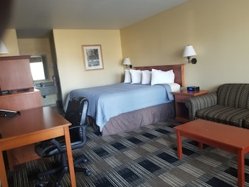 Single Room, 1 King Bed