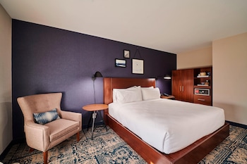 Room, 1 King Bed (Mobility/Hearing Access, Roll-in Shwr)