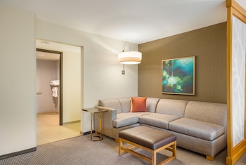 Classic Room, 1 King Bed with Sofa bed