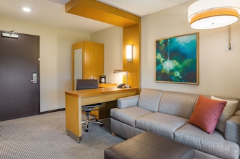 Deluxe Room, 1 King Bed with Sofa bed (Speciality)