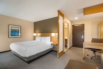 Deluxe Room, 1 King Bed with Sofa bed (Speciality)