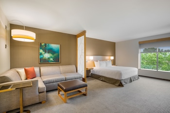 Classic Room, 1 King Bed with Sofa bed