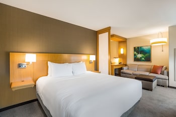 Deluxe Room, 1 King Bed with Sofa bed (Speciality)