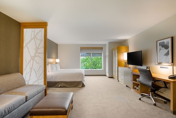 Room, 1 King Bed with Sofa bed, Accessible, Bathtub