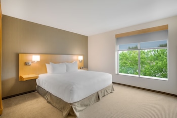 Room, 1 King Bed with Sofa bed, Accessible, Bathtub