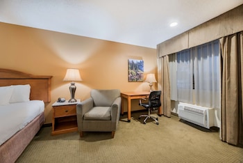 Standard Room, 1 King Bed, Non Smoking, Refrigerator & Microwave (with Sofabed)