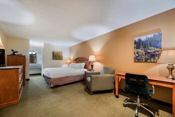 Standard Room, 1 King Bed, Non Smoking, Refrigerator & Microwave (with Sofabed)