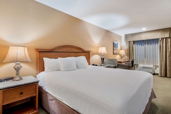 Standard Room, 1 King Bed, Non Smoking, Refrigerator & Microwave (with Sofabed)