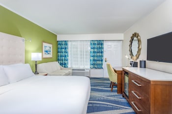 Standard Room, 1 King Bed, Accessible (Communications)
