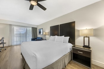 Non-Pet, 1 King Bed, Balcony