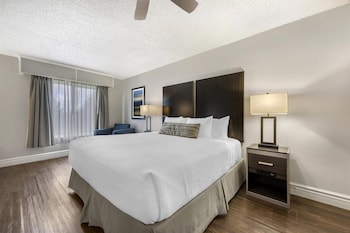 Non-Pet, 1 King bed, Accessible, Walk in shower