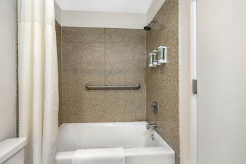 Non-Pet, 1 King Bed, River view w/Balcony