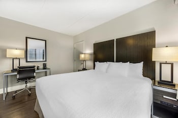 Non-Pet, 1 King bed w/Sofa bed
